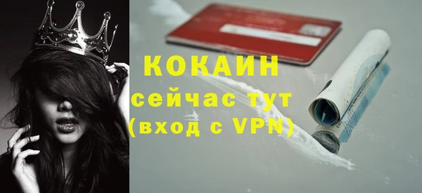 индика Белокуриха