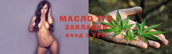 apvp Богородицк