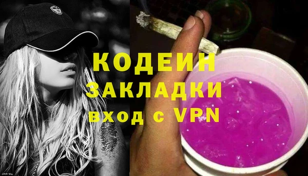 индика Белокуриха