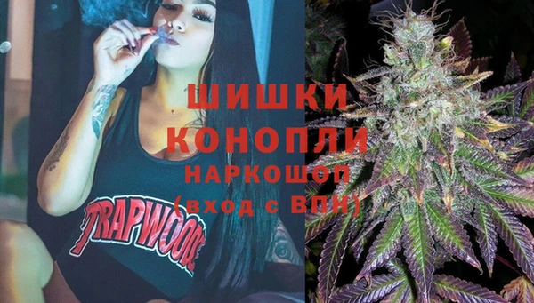 индика Белокуриха