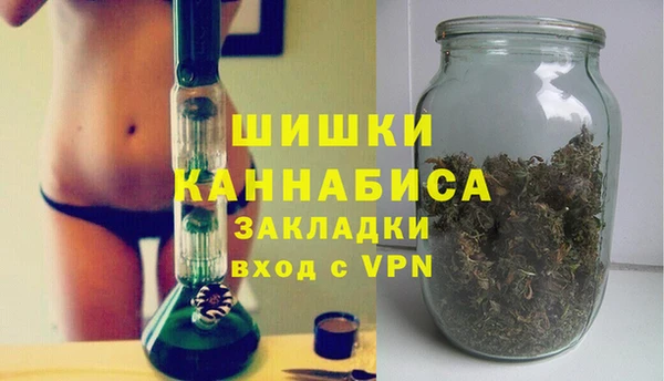 индика Белокуриха
