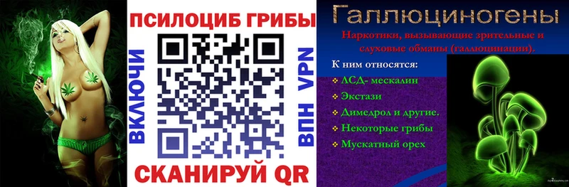 Псилоцибиновые грибы ЛСД  ссылка на мегу маркетплейс  Вичуга 