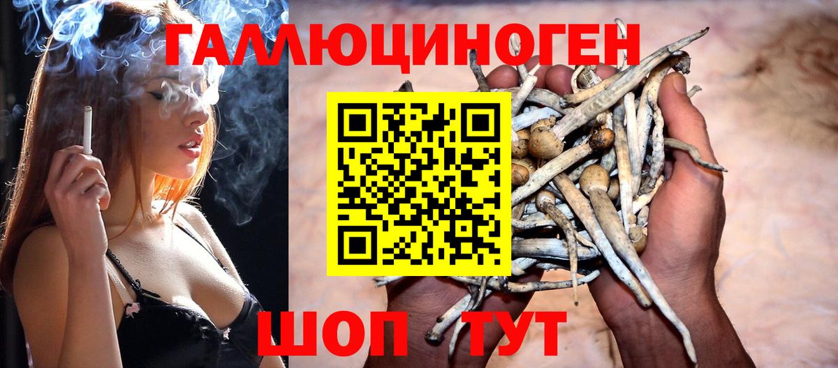 Галлюциногенные грибы Psilocybe Вичуга