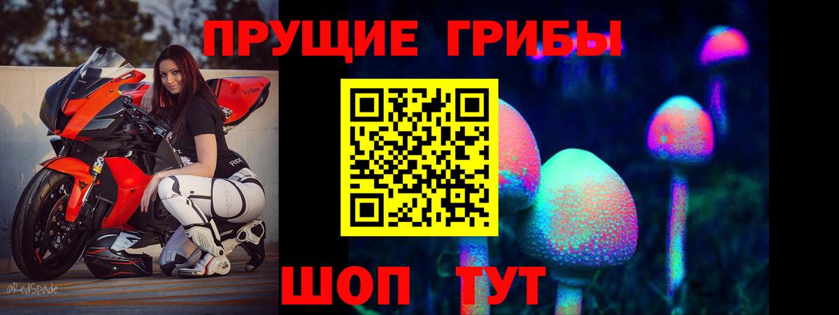 Галлюциногенные грибы GOLDEN TEACHER Вичуга